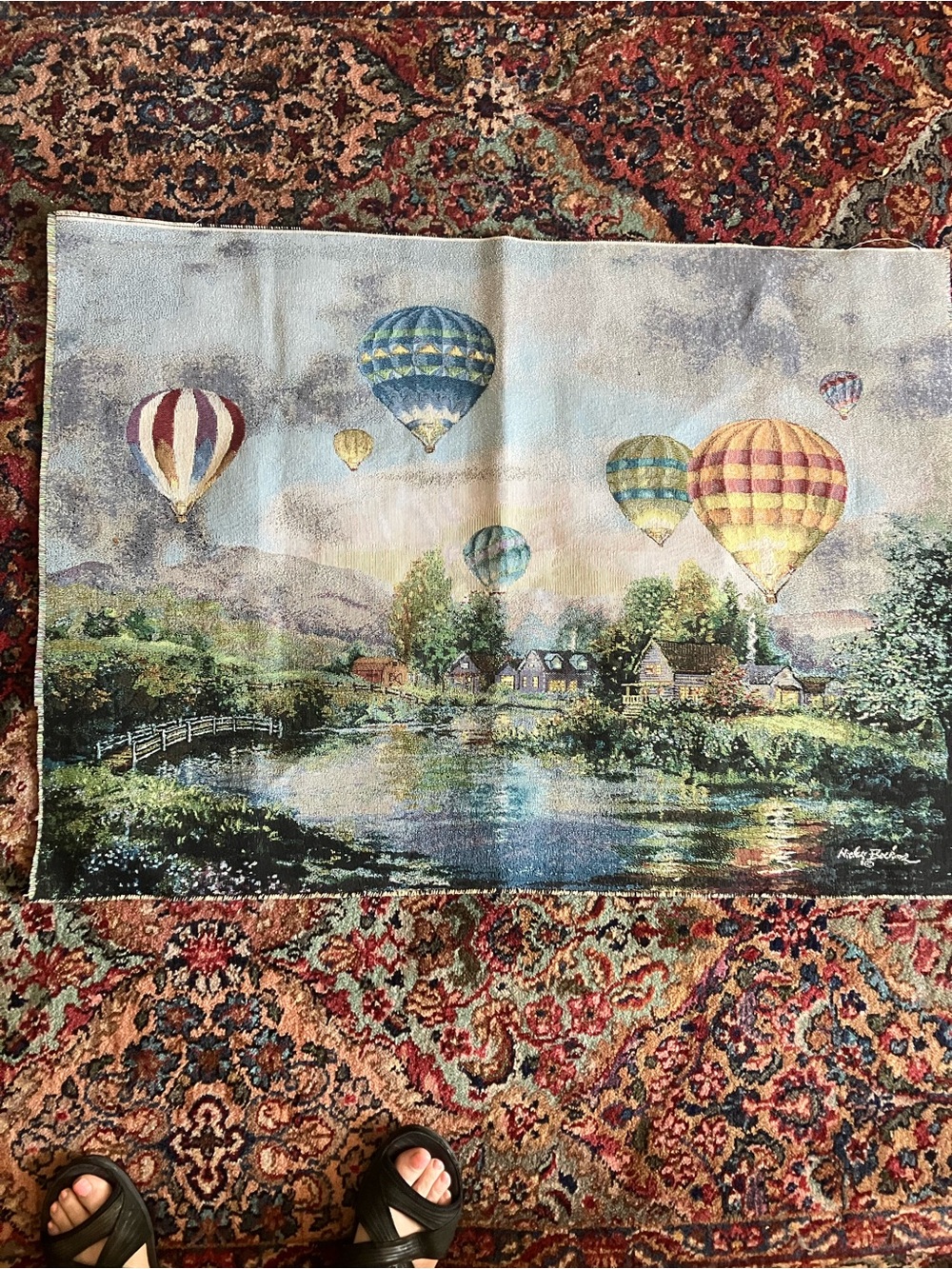 Balloon Tapestry - Picture 2 of 8